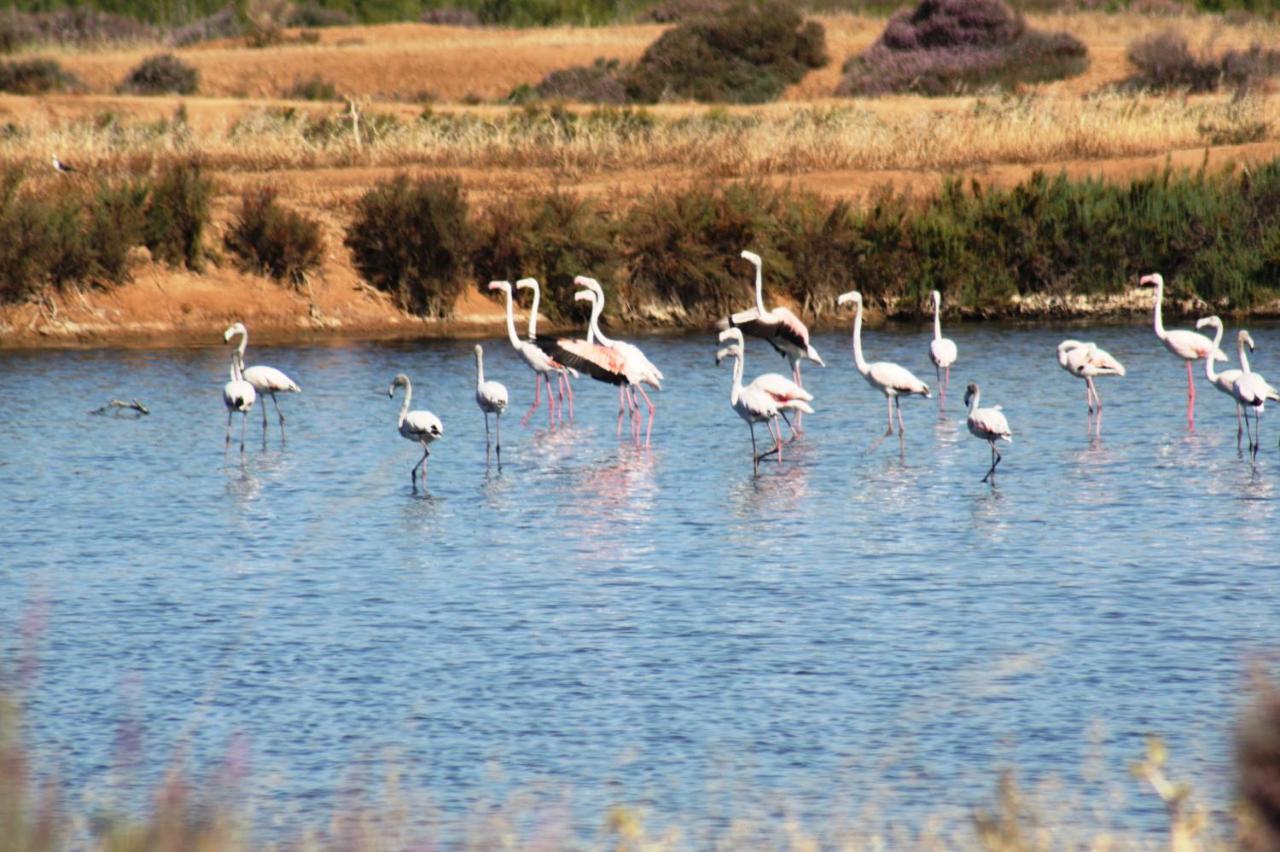 Herdade Dos Salgados Do Fialho ฟารู ภายนอก รูปภาพ