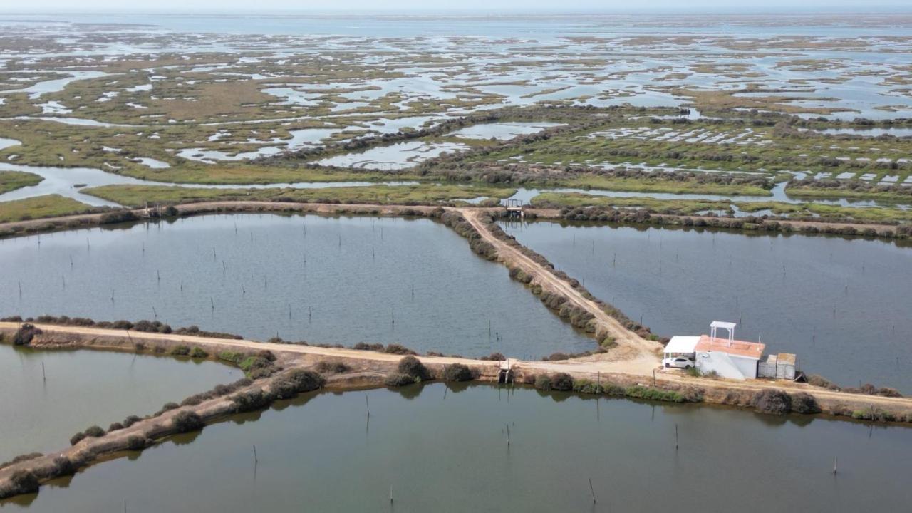 Herdade Dos Salgados Do Fialho ฟารู ภายนอก รูปภาพ
