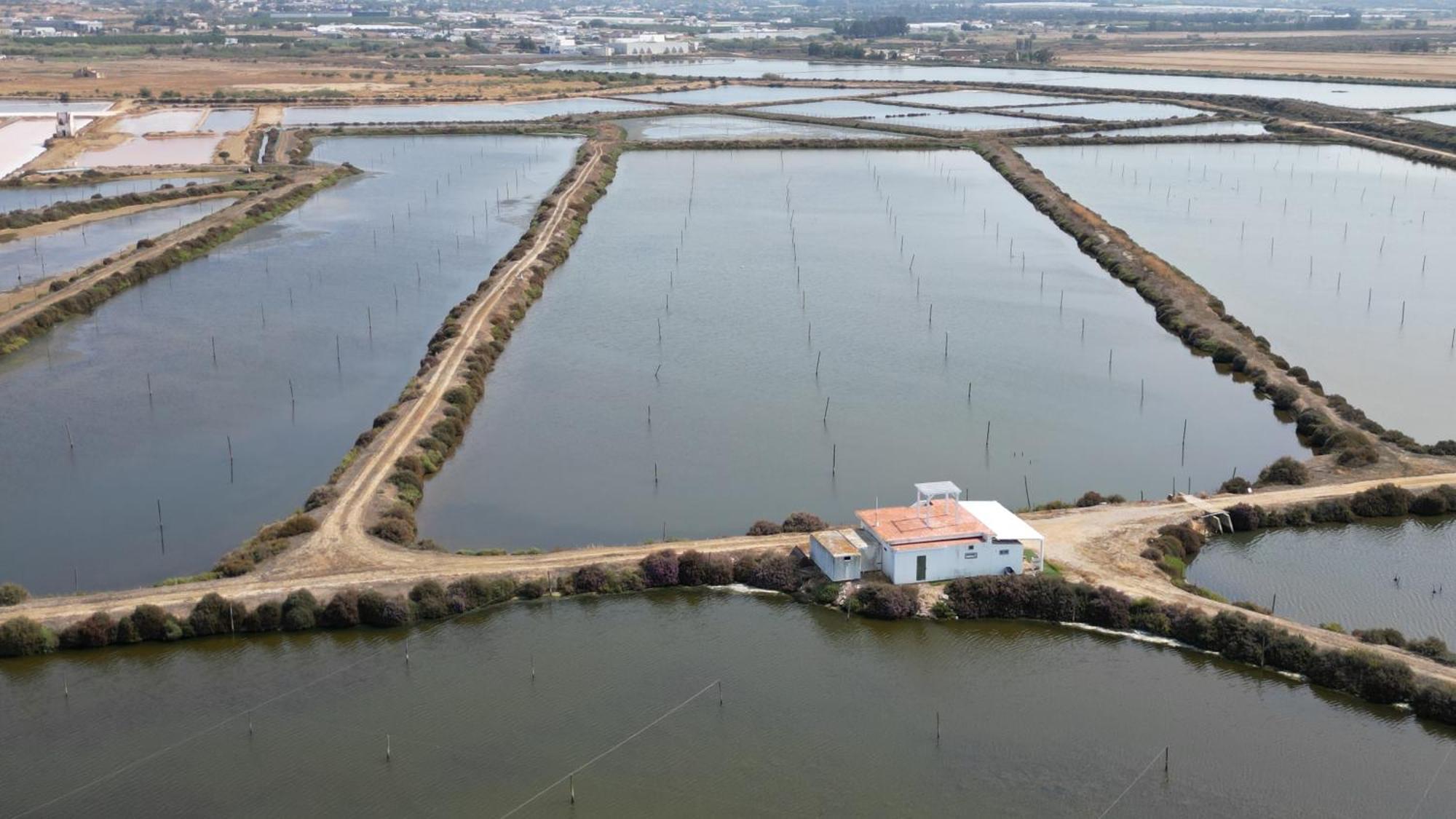 Herdade Dos Salgados Do Fialho ฟารู ภายนอก รูปภาพ