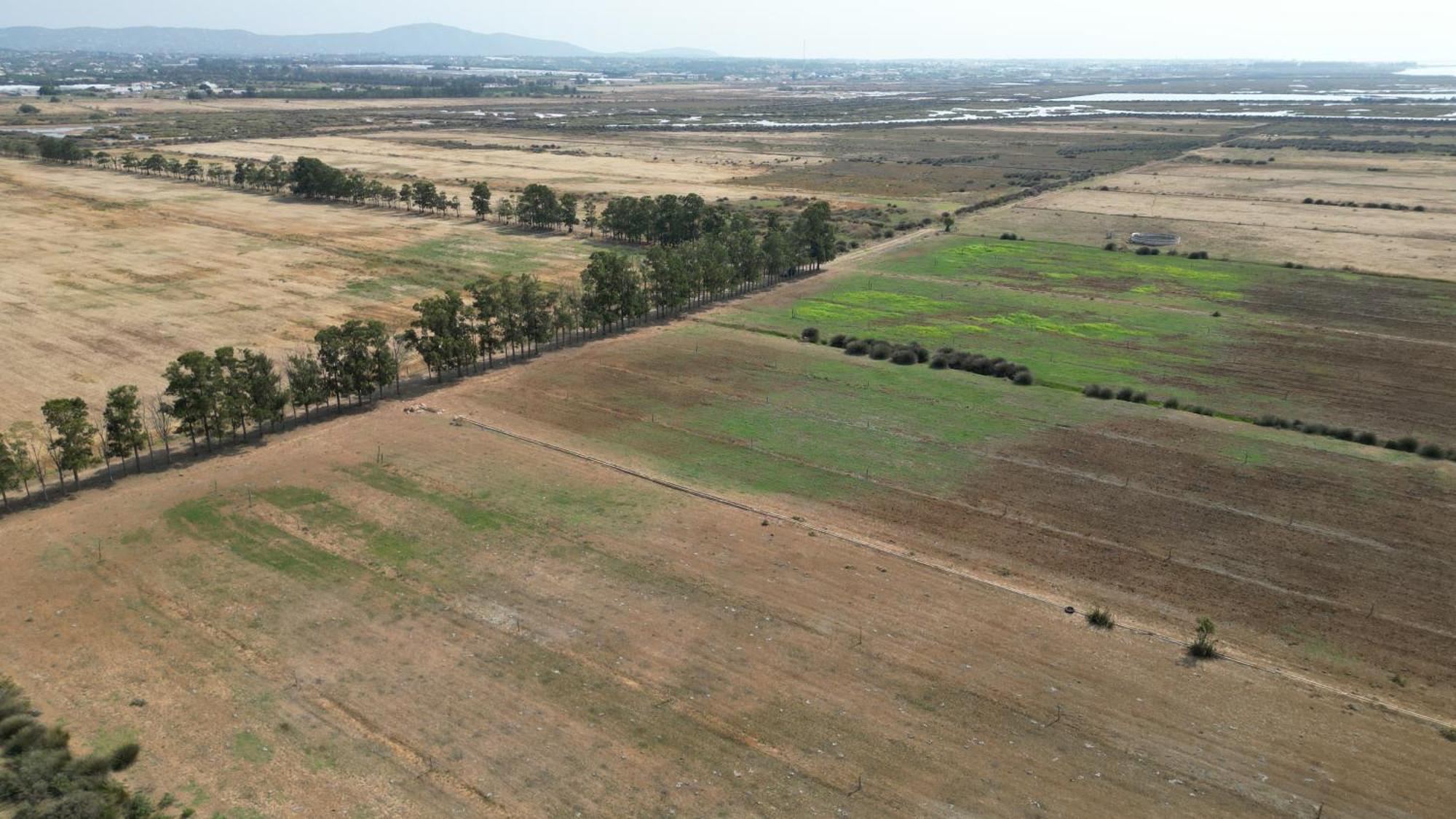 Herdade Dos Salgados Do Fialho ฟารู ภายนอก รูปภาพ