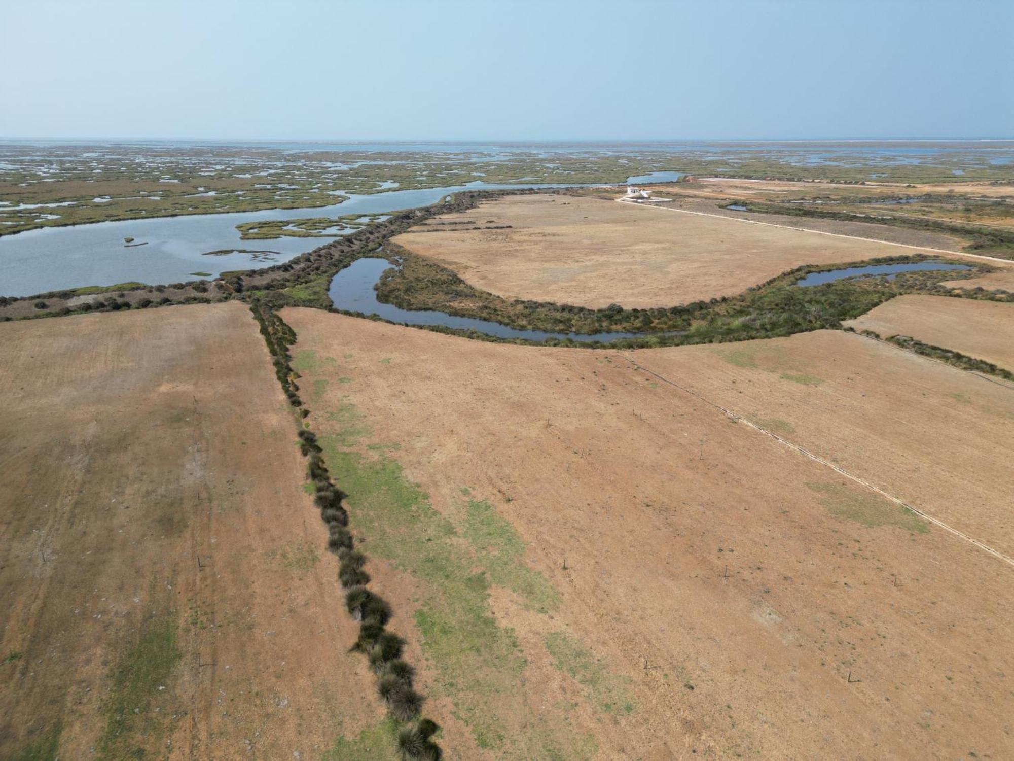 Herdade Dos Salgados Do Fialho ฟารู ภายนอก รูปภาพ