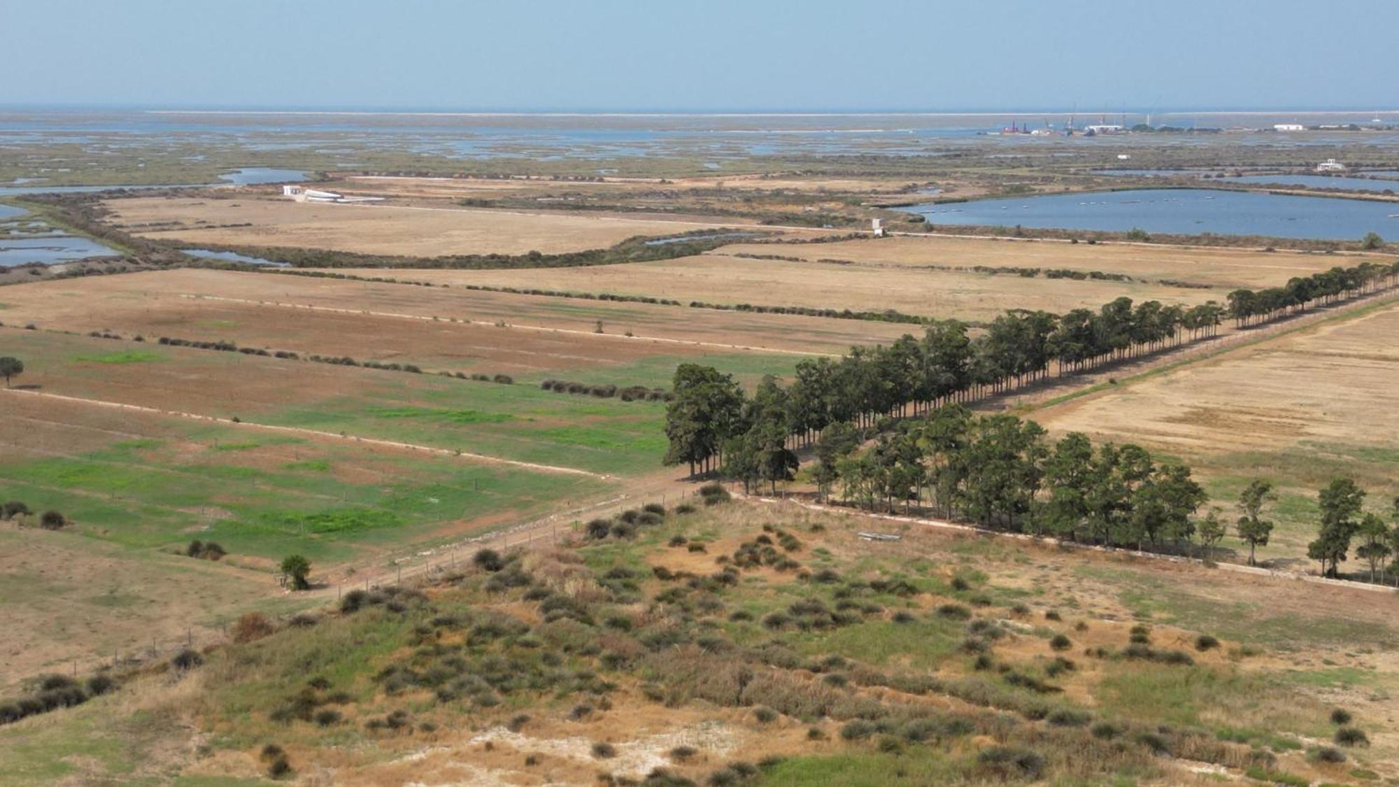 Herdade Dos Salgados Do Fialho ฟารู ภายนอก รูปภาพ