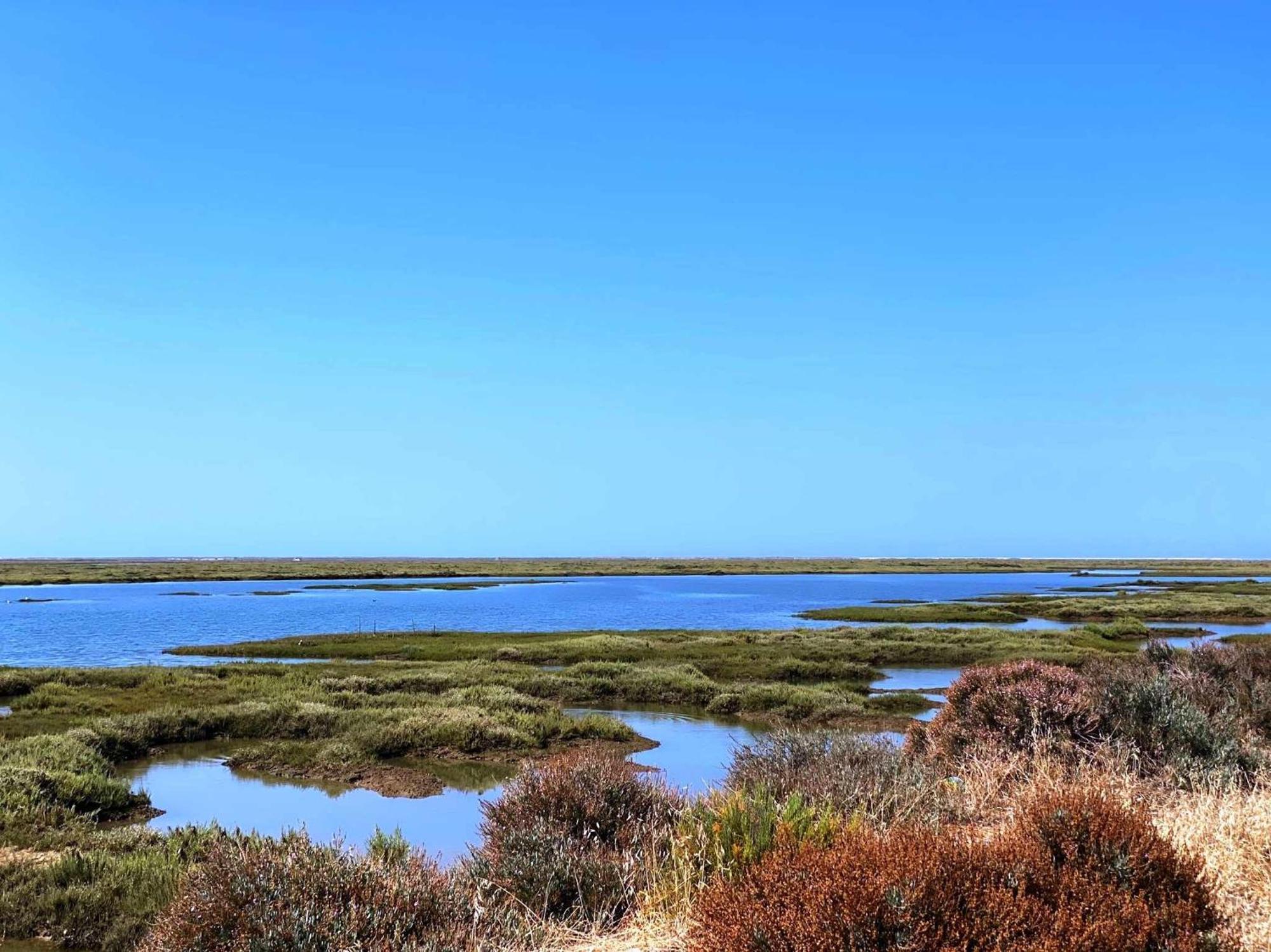 Herdade Dos Salgados Do Fialho ฟารู ภายนอก รูปภาพ